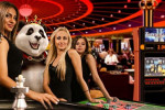 Royal Panda Casino - aké hry Live casina si zahráte